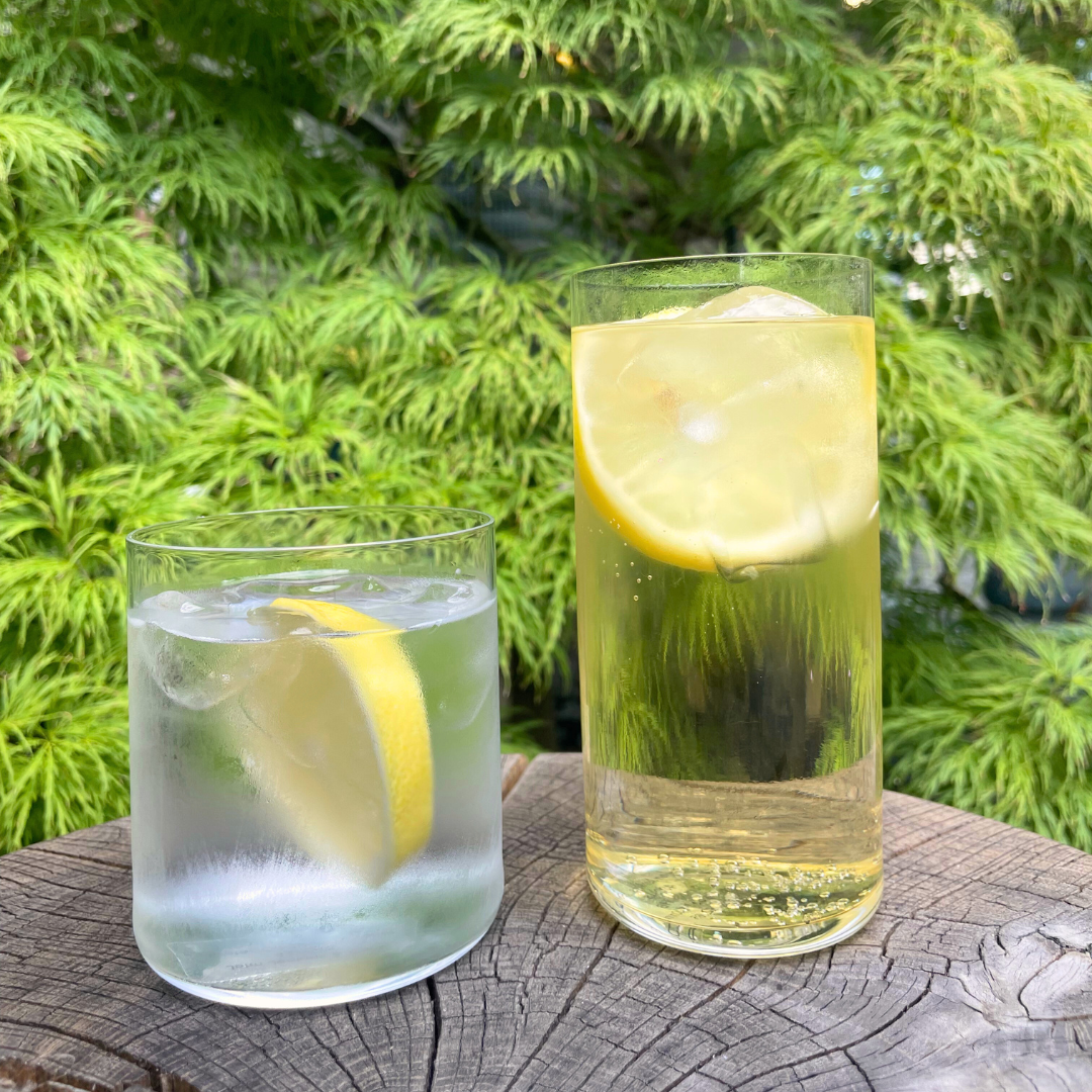 Rent: Celesté Tumbler