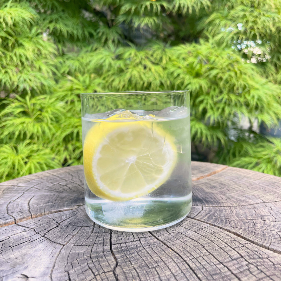 Rent: Celesté Tumbler