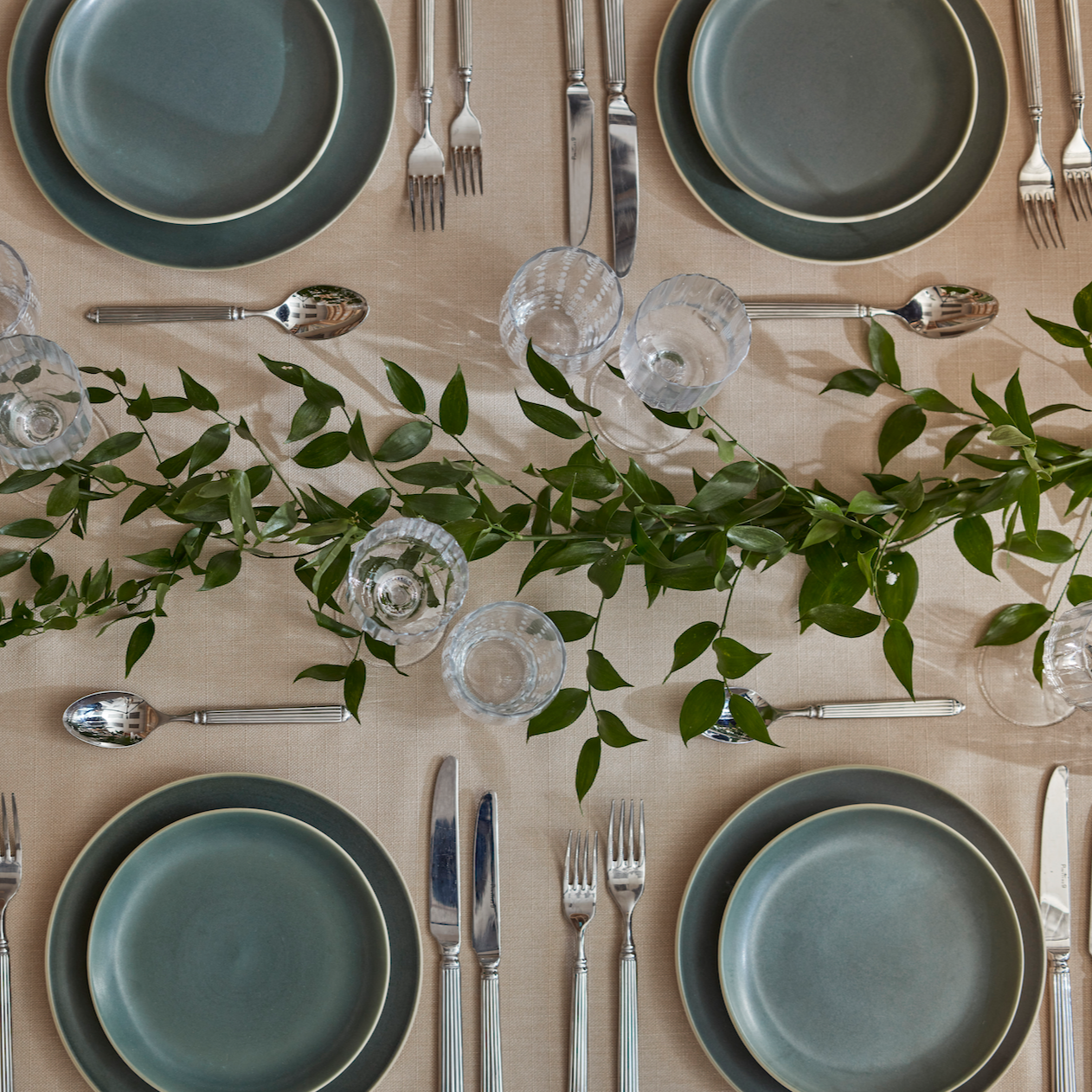 The Classic Vine - Look