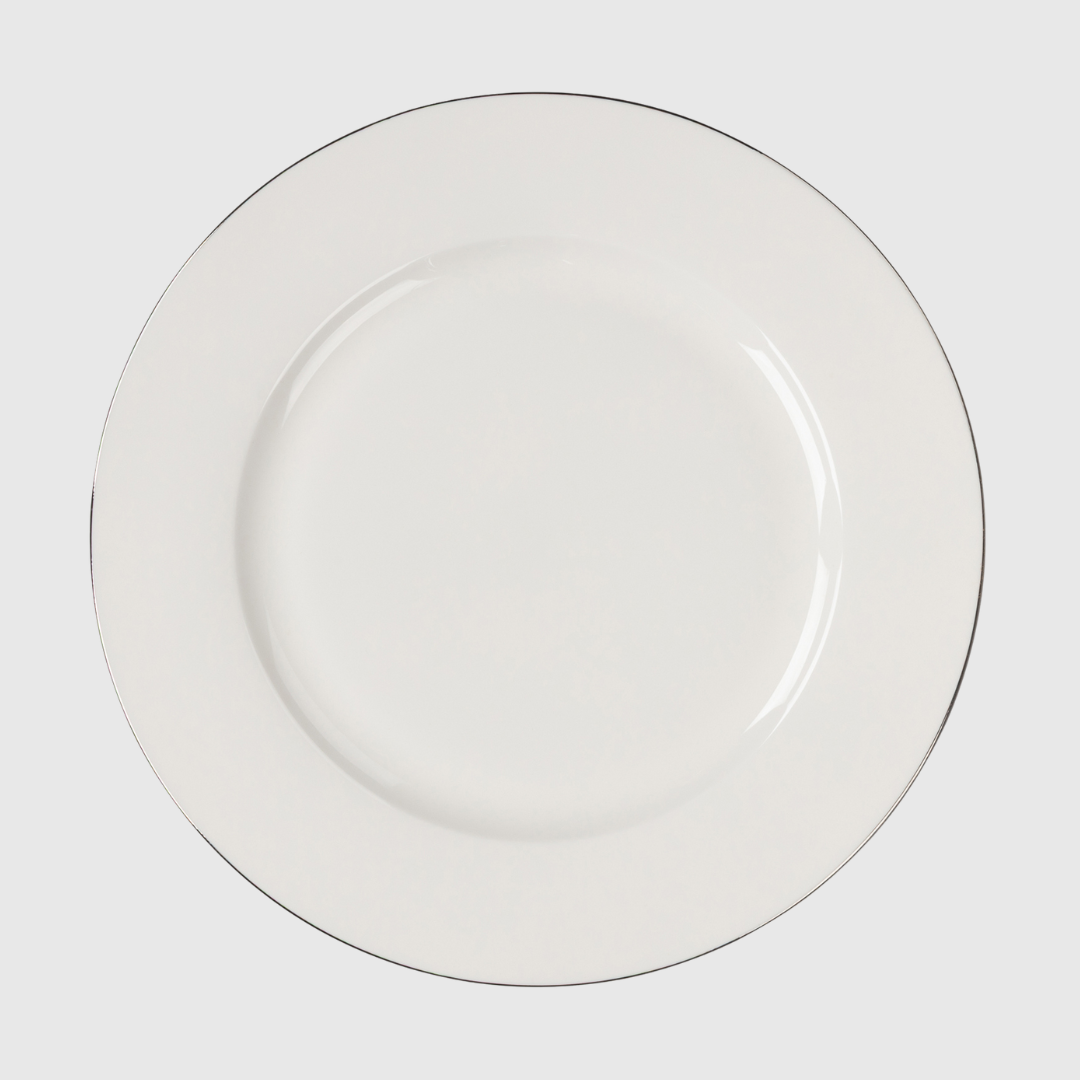 Rent: Selene Silver Charger