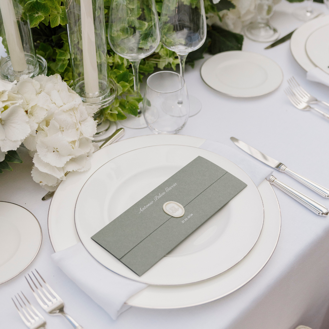 Rent: Selene Silver Dinner (26.5cm)