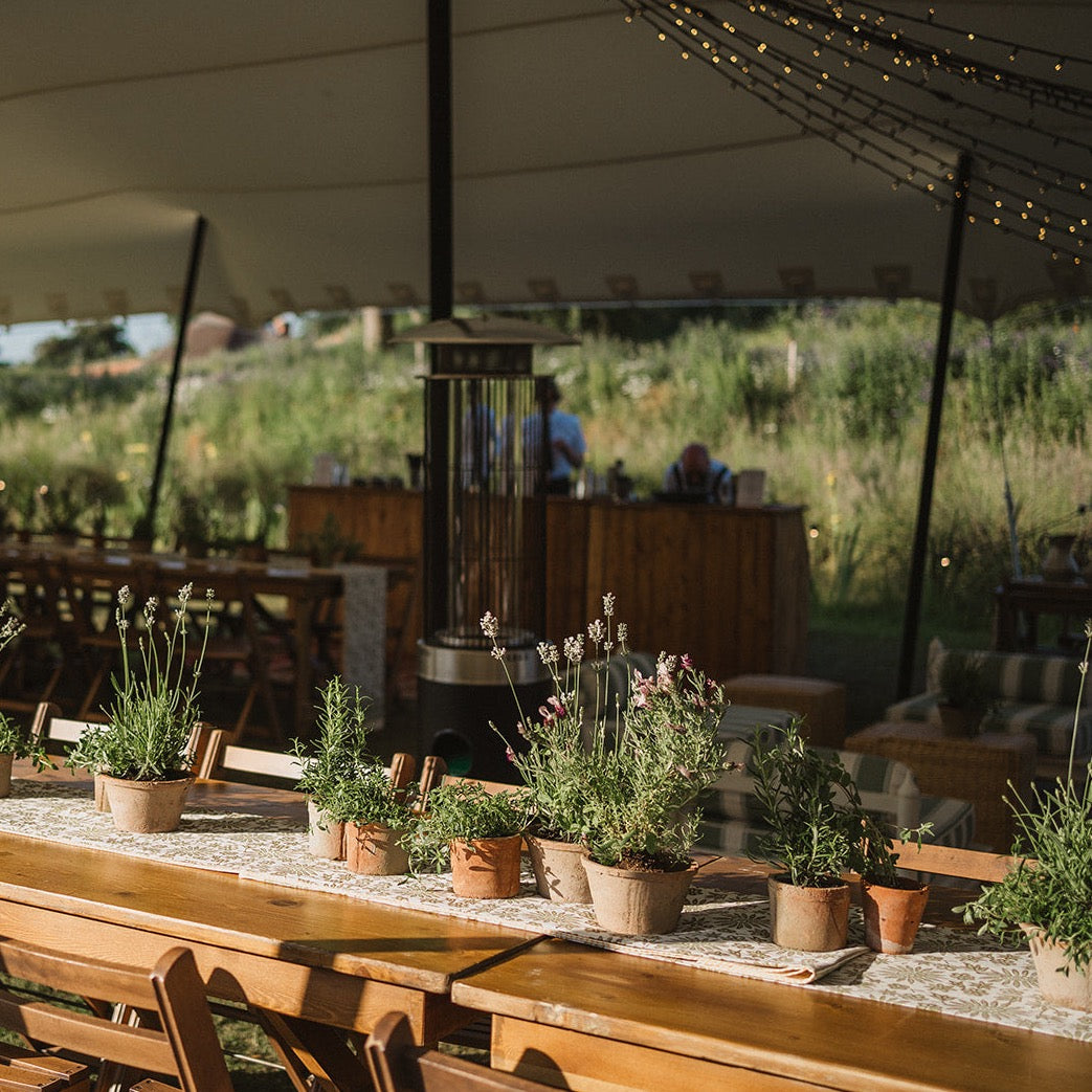 Rent: Anise Tablecloth