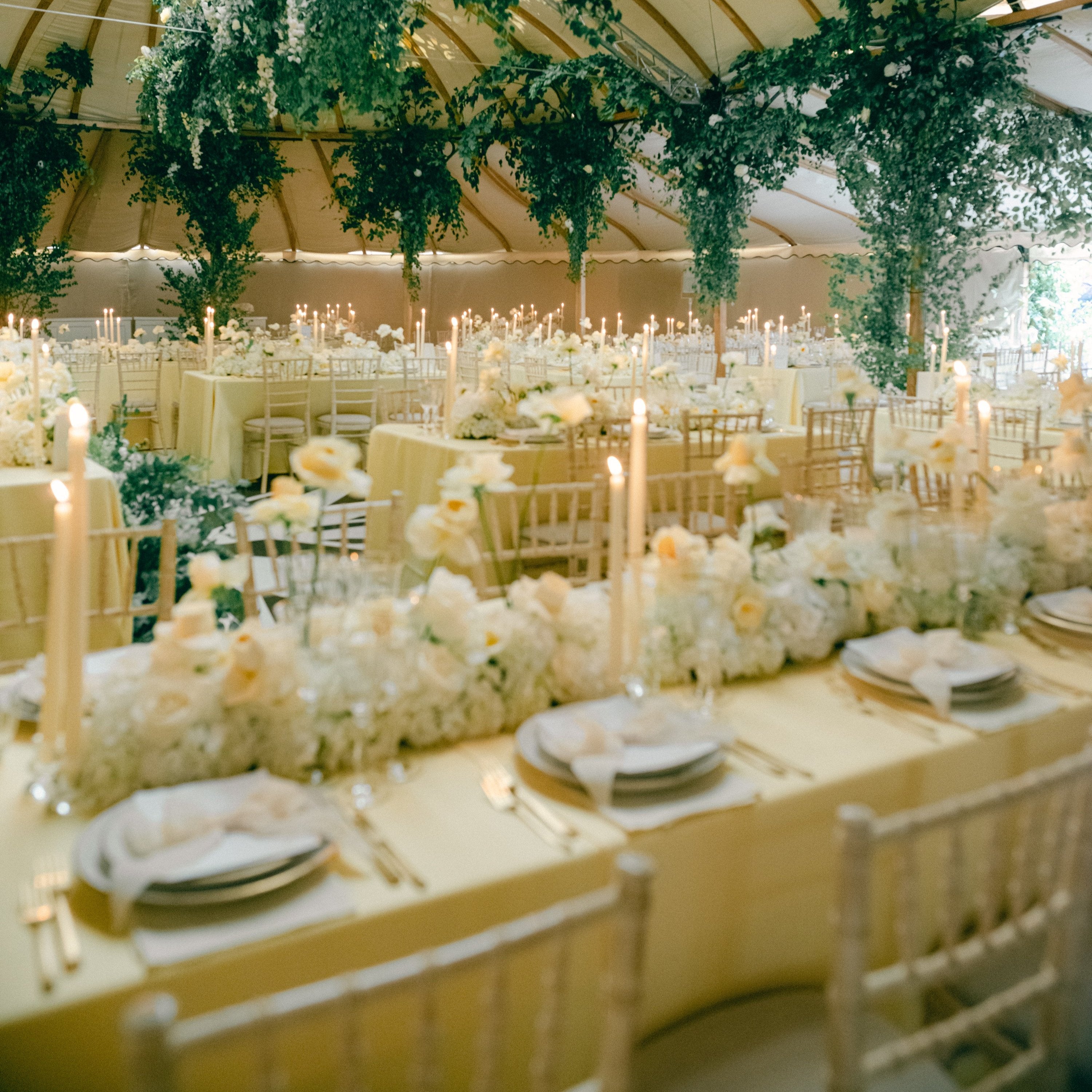 Rent: Natural Blush Gold Edge Dinner