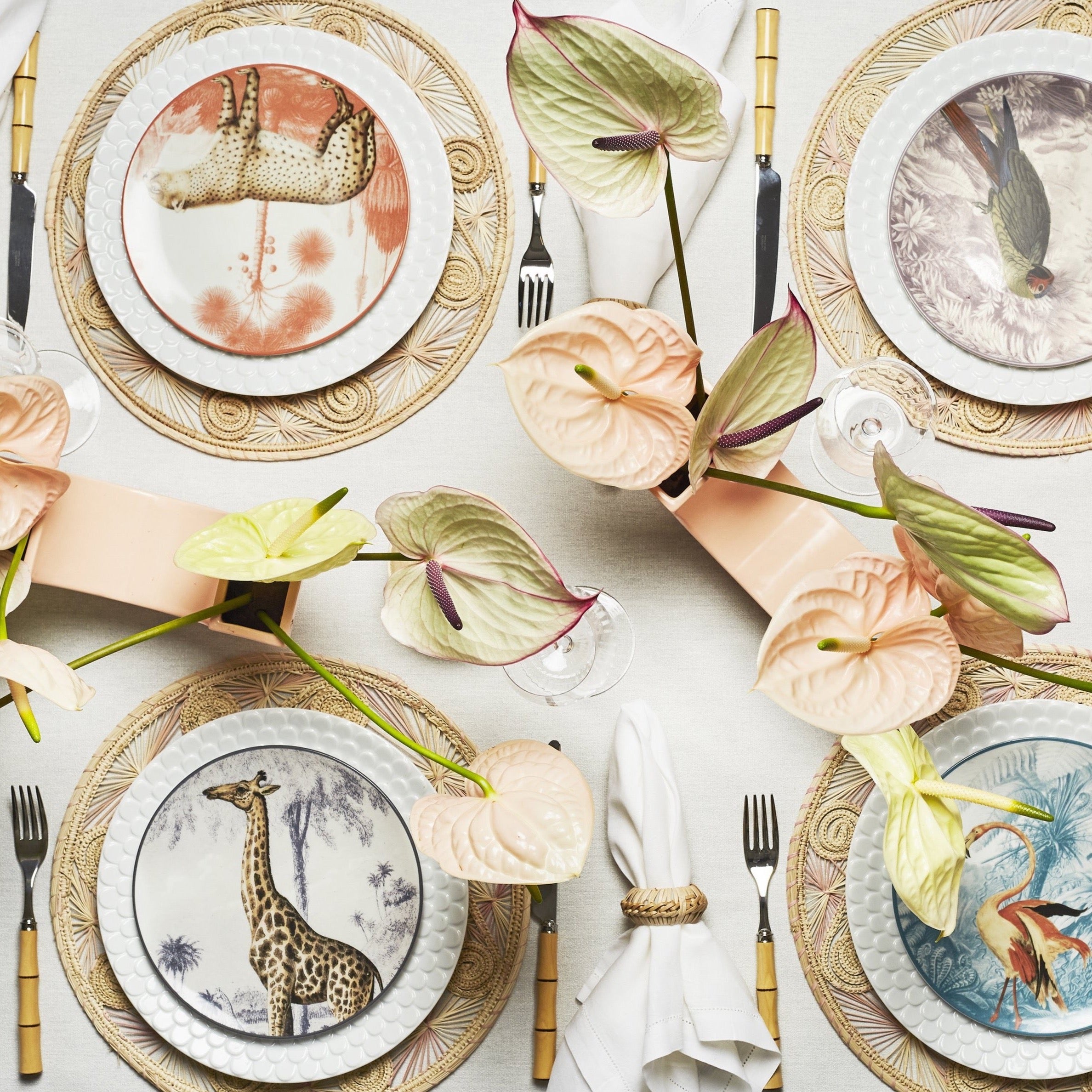 The Seychelles - Look