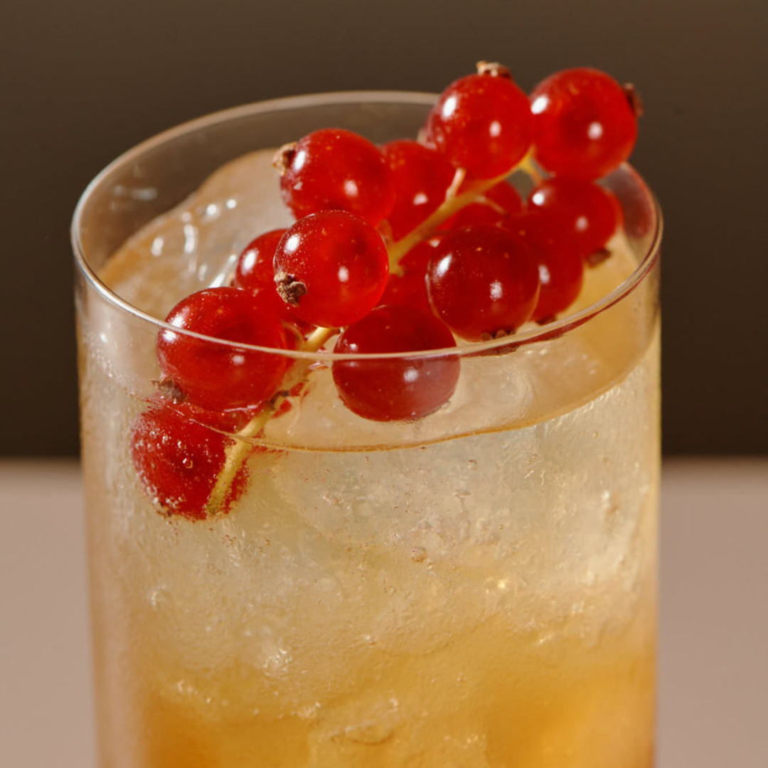 Rent: Celeste Highball (14cm)