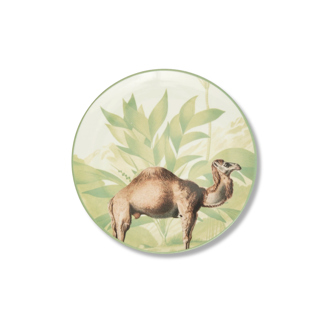 Rent: Les Ottomans Animal Dessert (21cm)