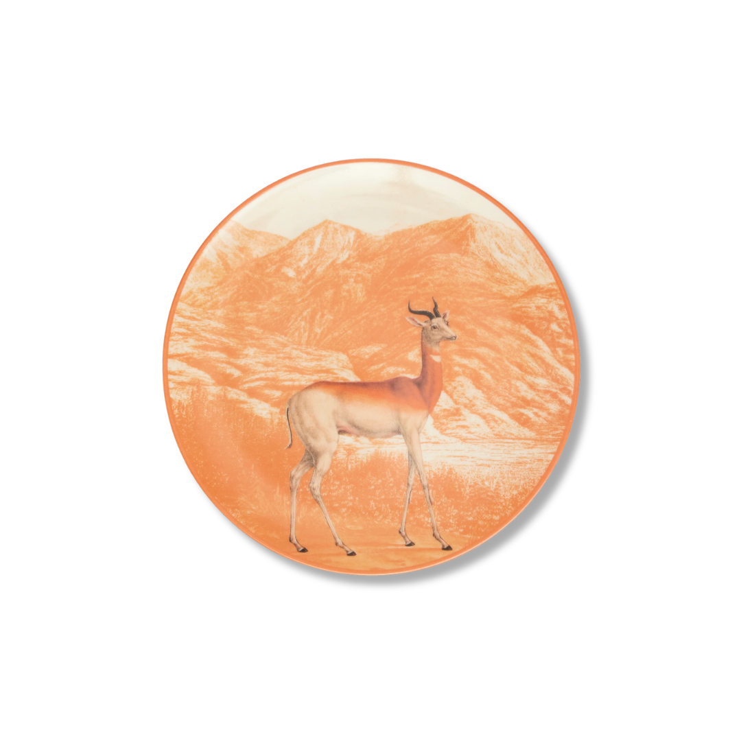 Rent: Les Ottomans Animal Dessert (21cm)