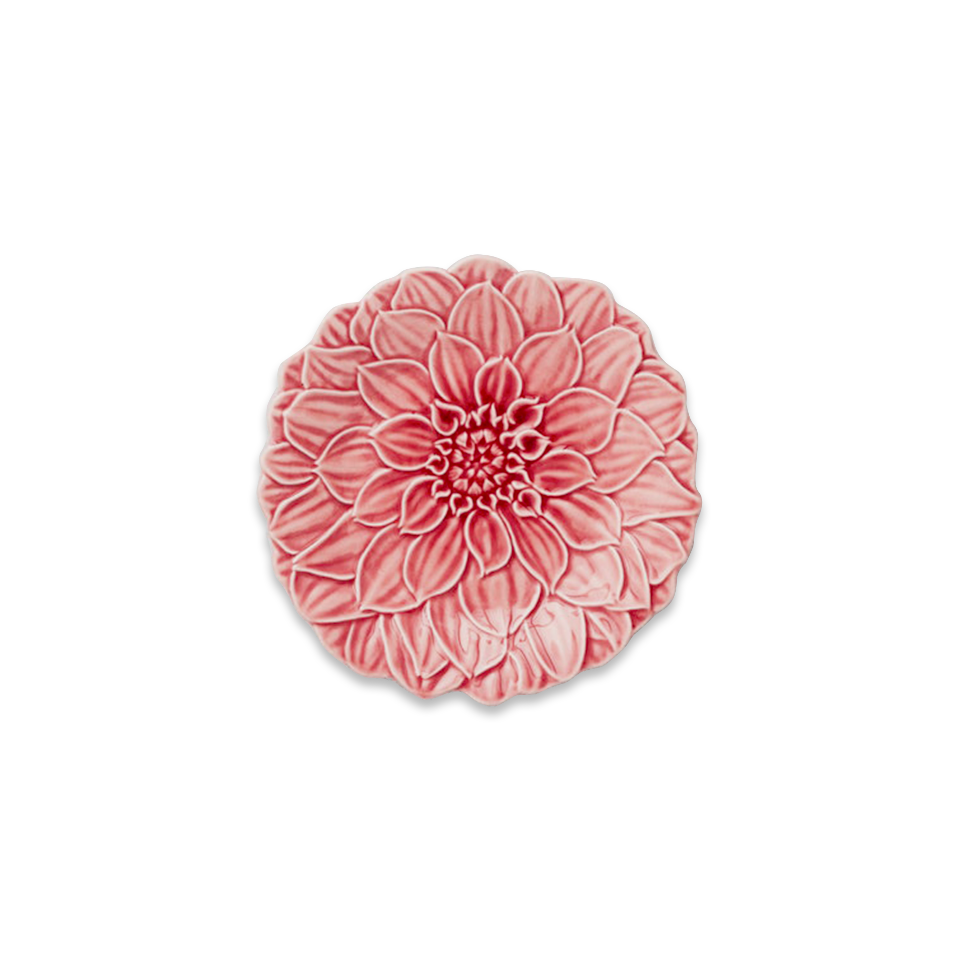 Rent: Pink Dahlia Set From