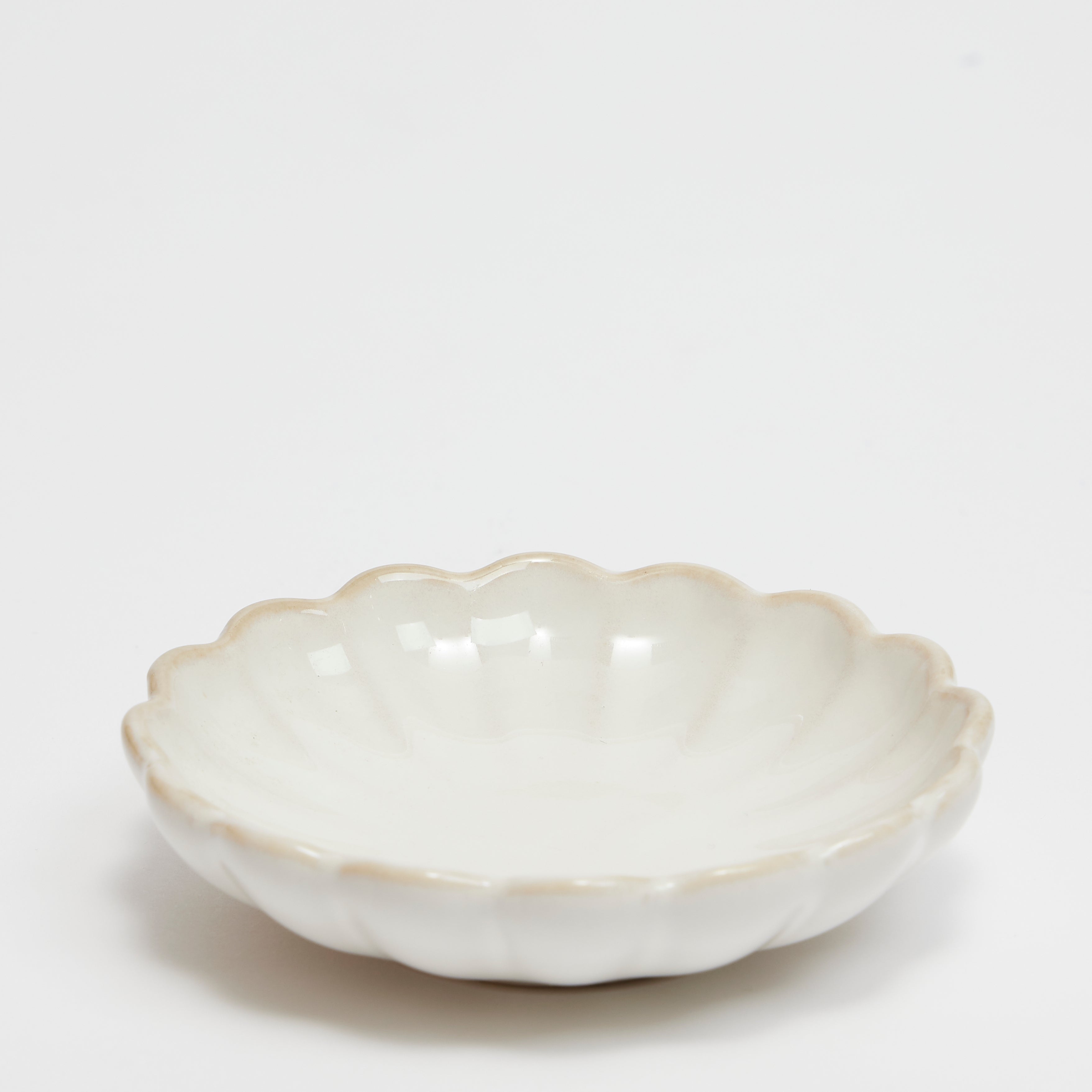 Rent: Scallop Shell Bowl - Shallow