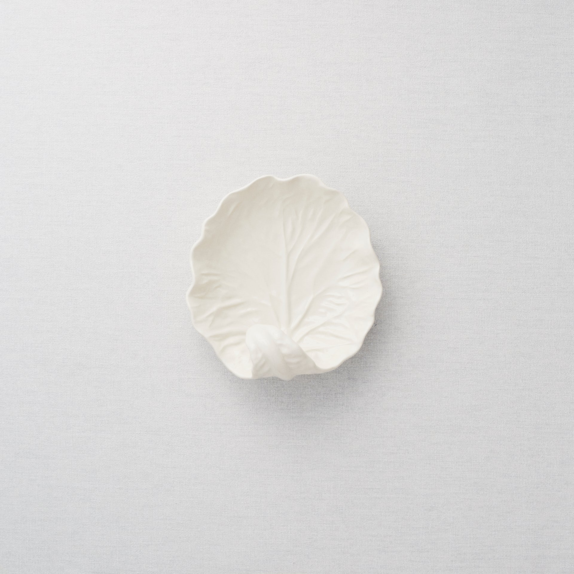 Rent: Small White Cabbage Leaf Dish