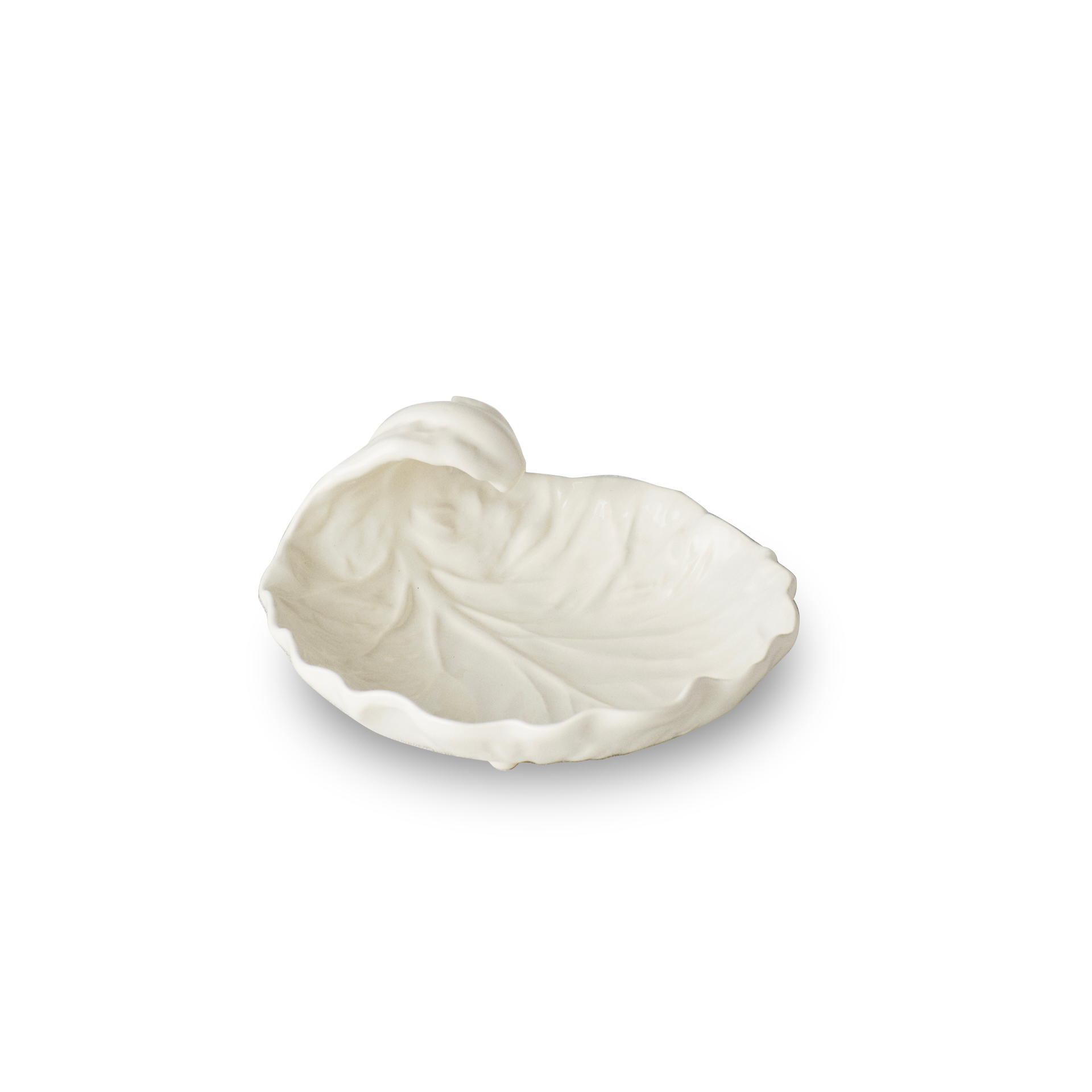 Rent: Small White Cabbage Leaf Dish